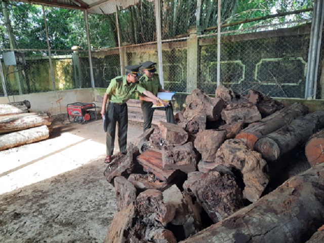 Thanh Hóa đẩy mạnh đấu tranh chống buôn lậu lâm sản