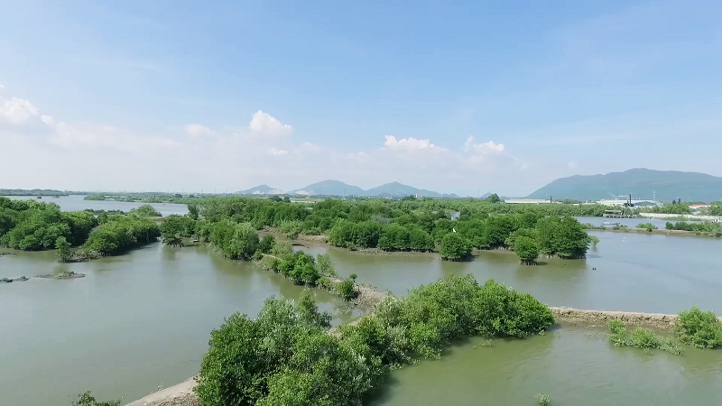 Cộng đồng mạng quyết tâm ‘phủ xanh’ mạng xã hội và câu chuyện dễ thương