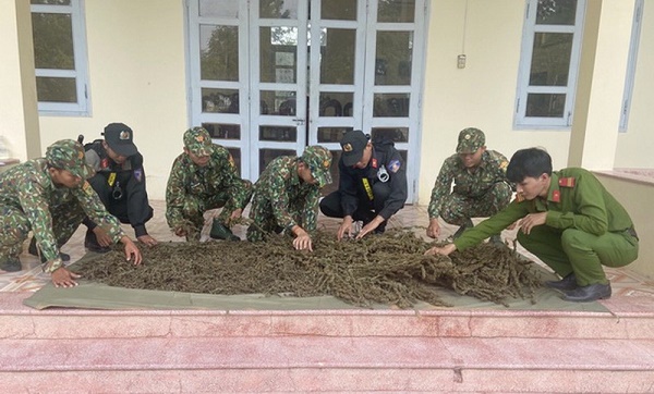 An Giang: Phát hiện bắt giữ gần 12 kg thảo mộc, nghi là cần sa