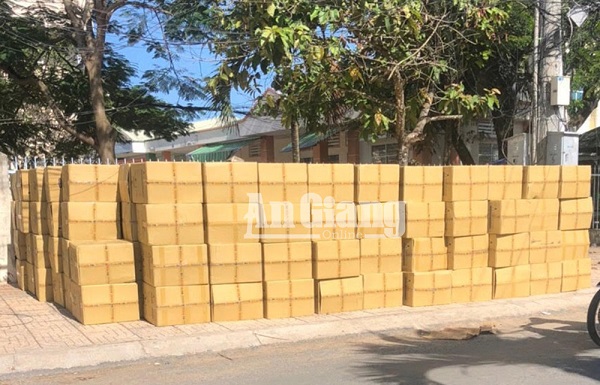 An Giang: Bắt giữ hơn 800 nghìn khẩu trang y tế không rõ nguồn gốc