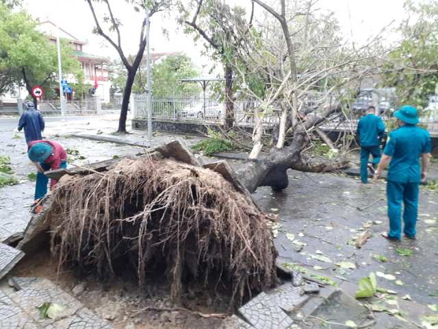 nhiều cây xanh ở TP Huế bị gãy đổ...