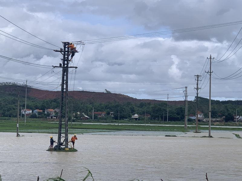 Công ty Điện lực Quảng Ngãi xử lý đường dây ngay sau bão
