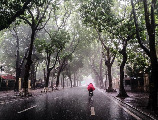 Thời tiết hôm nay 16/11: Hà Nội và các tỉnh miền Bắc mưa rét trên diện rộng.
