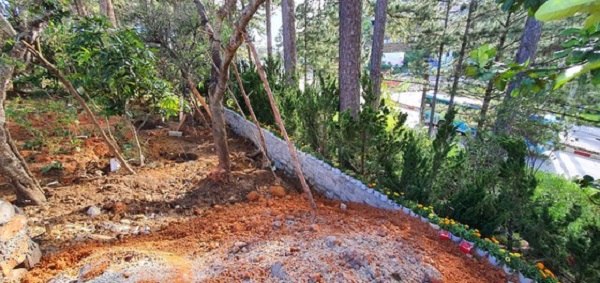 Đà Lạt: Lấn chiếm đất rừng Lâm Viên, xây dựng bờ kè đá