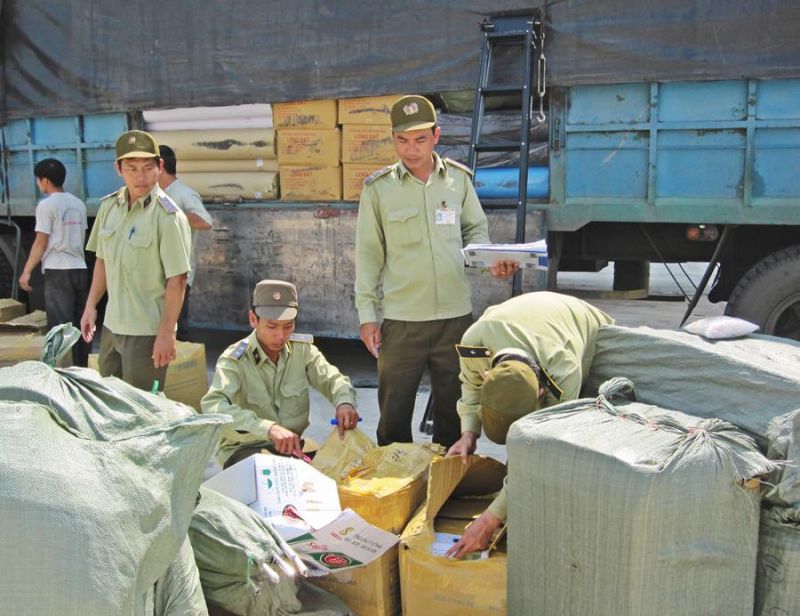 Ninh Thuận: phát hiện, xử lý 541 vụ vi phạm, khởi tố 3 vụ với 2 đối tượng