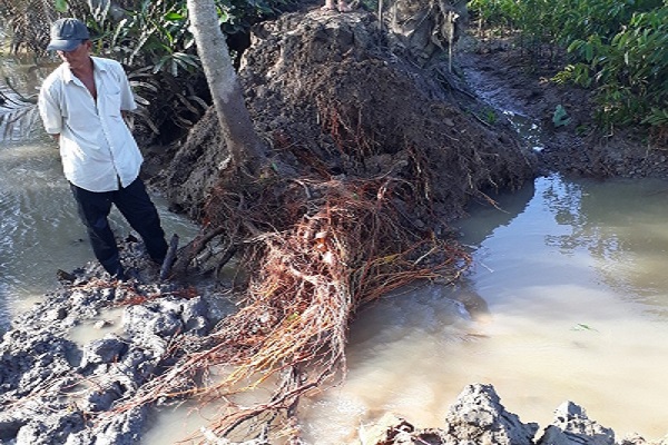 Bến Tre: Khắc phục tình trạng triều cường làm vỡ đê, nước tràn