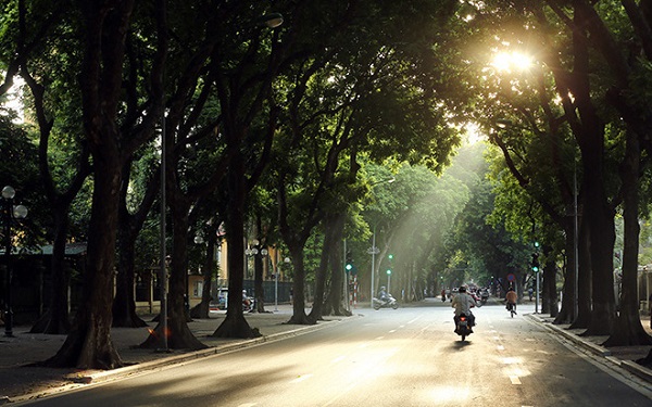 Dự báo thời tiết 20/11: Miền Bắc hửng nắng, miền Nam mưa giông vài nơi