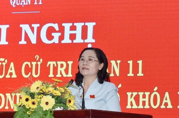 TPHCM: Nâng cao hiệu quả giám sát của HĐND
