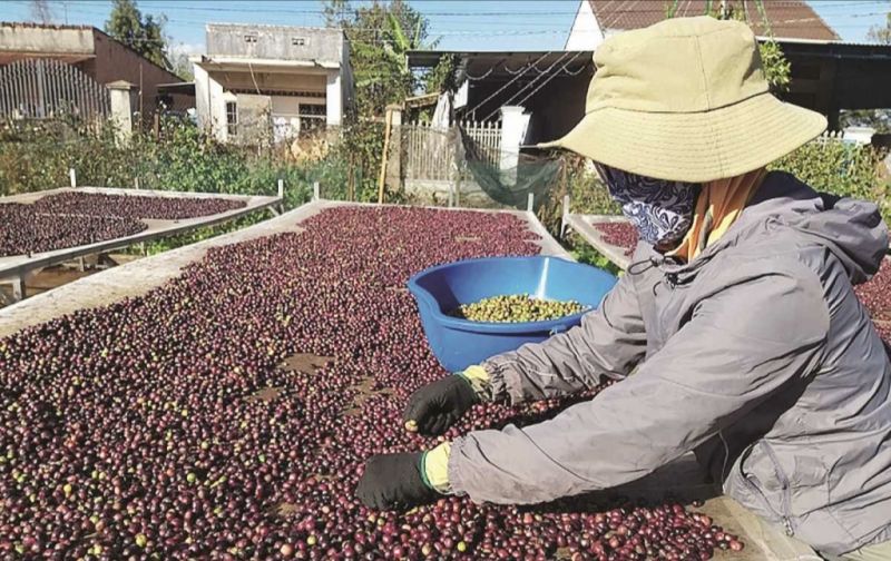 Thủ tướng phê duyệt Chương trình khuyến công quốc gia giai đoạn 2021-2025