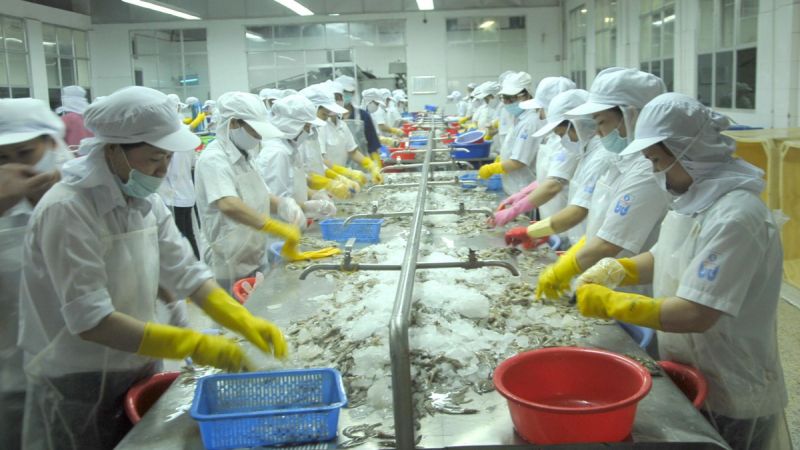 Khánh Hòa: Nguy cơ thiếu nguyên liệu chế biến thủy sản