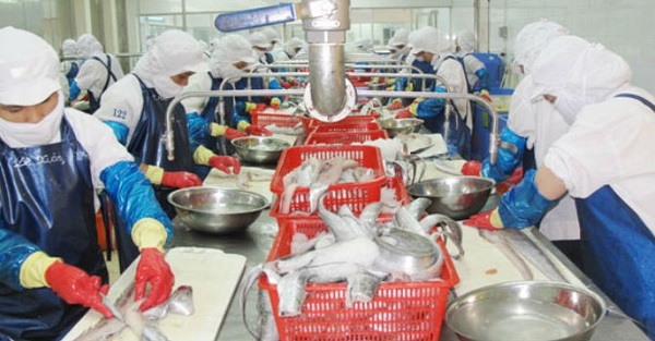 Đề xuất cấp kinh phí hỗ trợ khôi phục sản xuất thuỷ sản tại miền Trung