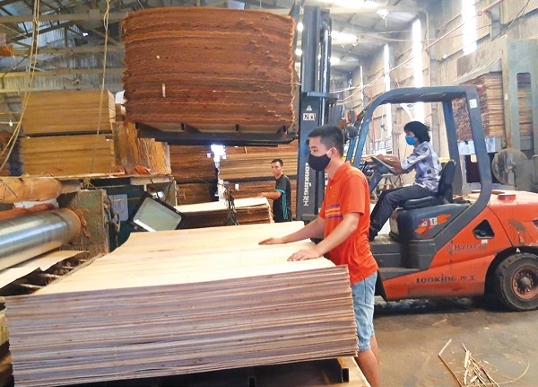 Kiểm soát chặt chẽ gian lận thương mại trong hoạt động xuất nhập khẩu gỗ