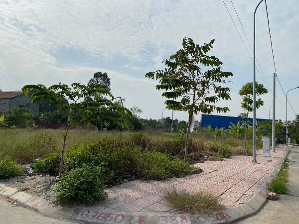 Hải Phòng: Nhiều khu đất đấu giá bỏ hoang cỏ mọc vì bị “thổi” giá