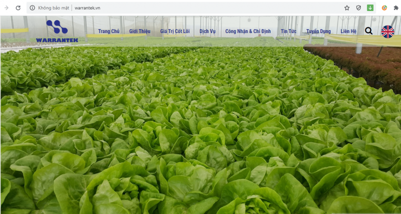 Công ty CP Warrantek bị xử phạt và đình chỉ kiểm nghiệm chỉ định thực phẩm 3 tháng