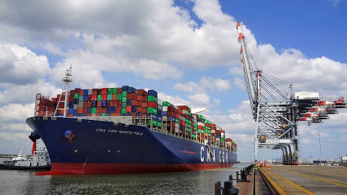 Cục Hàng hải yêu cầu các hãng tàu thực hiện nghiêm quy định về niêm yết giá