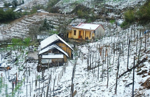 Các địa phương chủ động cho học sinh nghỉ học khi trời rét đậm