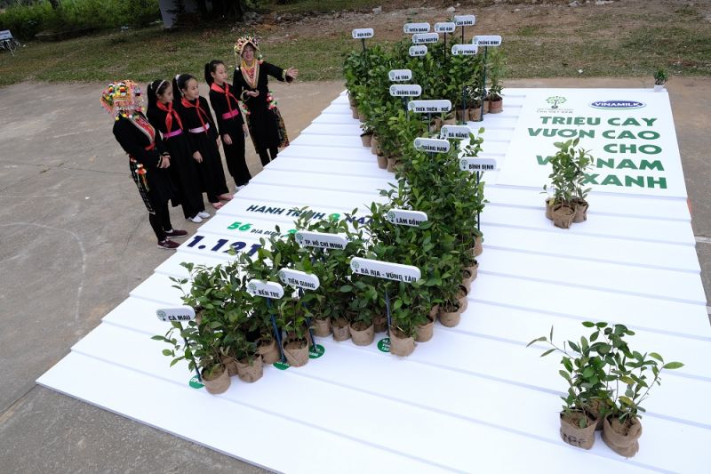 “Quỹ một triệu cây xanh cho Việt Nam” của Vinamilk đã chính thức hoàn thành và vượt kế hoạch đề ra (trồng 1.121.000 cây xanh) tại 56 địa điểm thuộc 20 tỉnh, thành phố trên cả nước