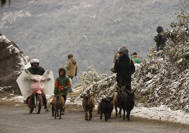 Dự báo thời tiết hôm nay 7/12: Bắc Bộ, Bắc Trung Bộ trời rét; vùng núi rét đậm rét hại