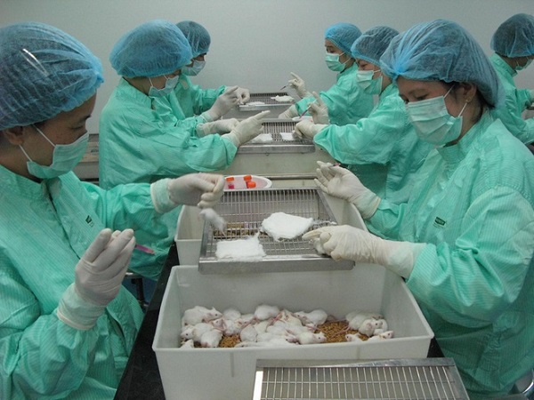 Thử nghiệm vaccine Covid-19 trên chuột bạch tại Việt Nam. Ảnh: VABIOTECH.