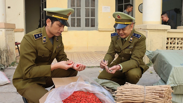 Cục QLTT tỉnh Lạng Sơn vừa thu giữ hơn 1 tấn nguyên liệu thuốc Bắc không rõ nguồn gốc