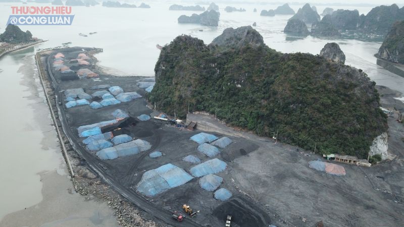 Theo QĐ 3466/QĐ-UBND cuả UBND tỉnh Quảng Ninh, hiện tại cảng hàng hoá tổng hợp và kho xăng dầu của Công ty CP đầu tư phát triển TTP đang được cho Công ty Cổ phần Than Sông Hồng - Tổng Công ty Đông Bắc thuê lại làm cảng tiêu thụ than. Thời hạn không quá 31/12/2020.