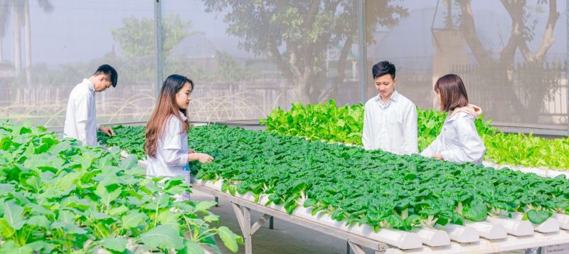 Đào tạo nguồn nhân lực nông nghiệp công nghệ cao: Tập trung giải quyết 5 vấn đề lớn
