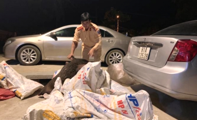 Kon Tum: Bắt giữ các xe chở nhiều động vật hoang dã về tiêu thụ