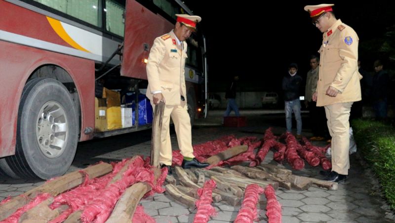 Hà Tĩnh: Bắt giữ xe ô tô khách vận chuyển gần 1 tấn gỗ trắc