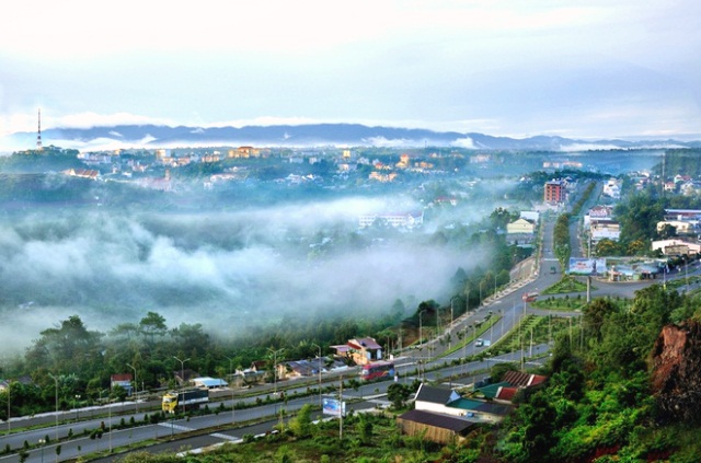 Một gốc Đăk N&ocirc;ng