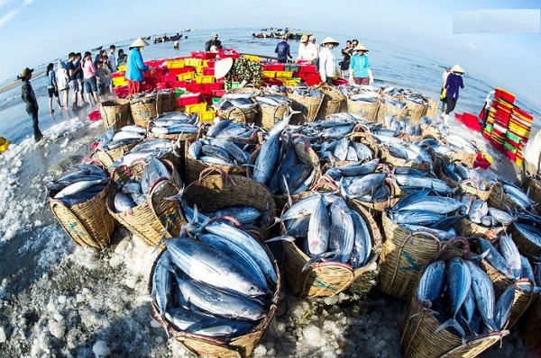 Năm 2019, xuất khẩu thủy sản của cả nước giảm 2,3%