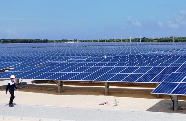Thủ tướng đồng ý bổ sung dự án điện mặt trời 450 MW vào quy hoạch