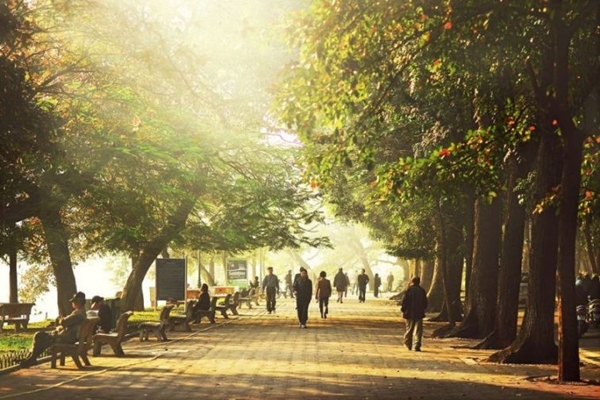 Dự báo thời tiết 15/1: Miền Bắc hửng nắng