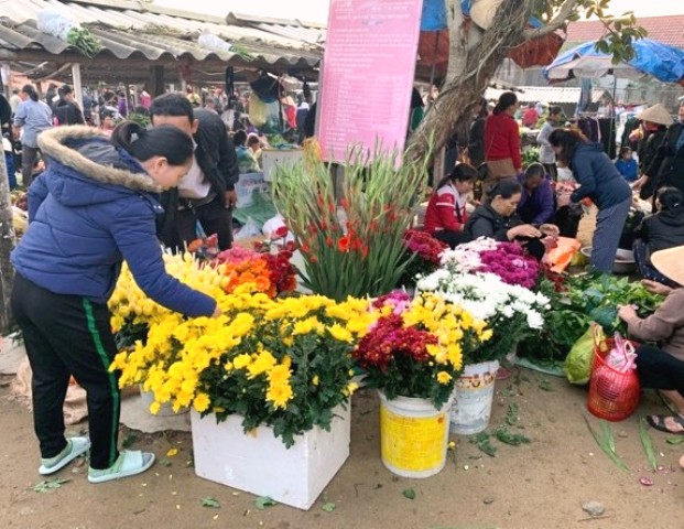 Hoa của người nông dân Thạch Đồng trồng và đêm ra chợ bán