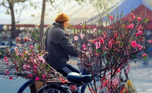 Dự báo thời tiết mùng 3 Tết Nguyên đán: Bắc Bộ rét đậm, thấp nhất 7 độ C