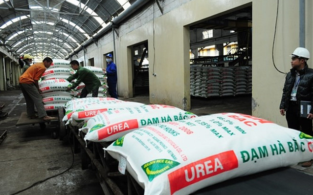 Đạm Hà Bắc tiếp tục báo lỗ, âm vốn hơn 516 tỷ đồng