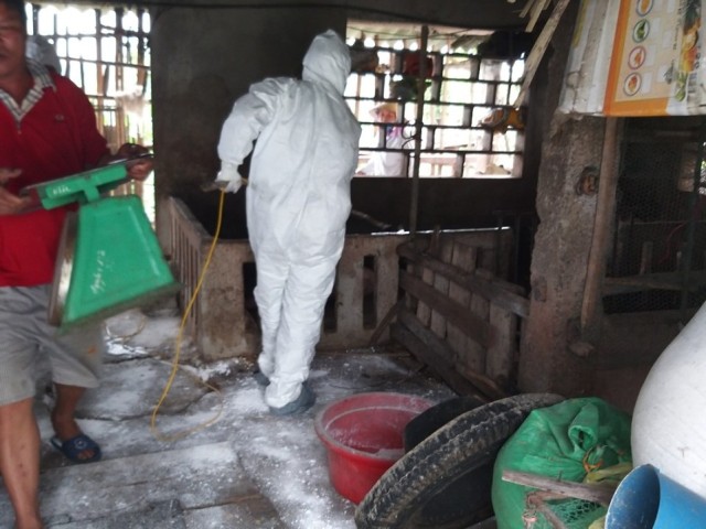Lực lượng chức năng phun tiêu độc khử trùng phòng chống dịch tả lợn châu Phi bùng phát trở lại