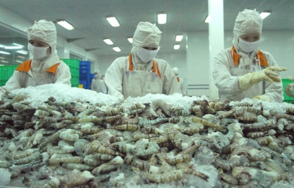 Thủy sản xuất khẩu của Việt Nam bị ảnh hưởng vì dịch corona
