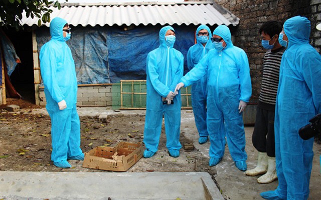 Đoàn kiểm tra công tác phòng, chống, dập dịch cúm A/H5N6 phát sinh trên đàn gia cầm tại Thanh Hóa