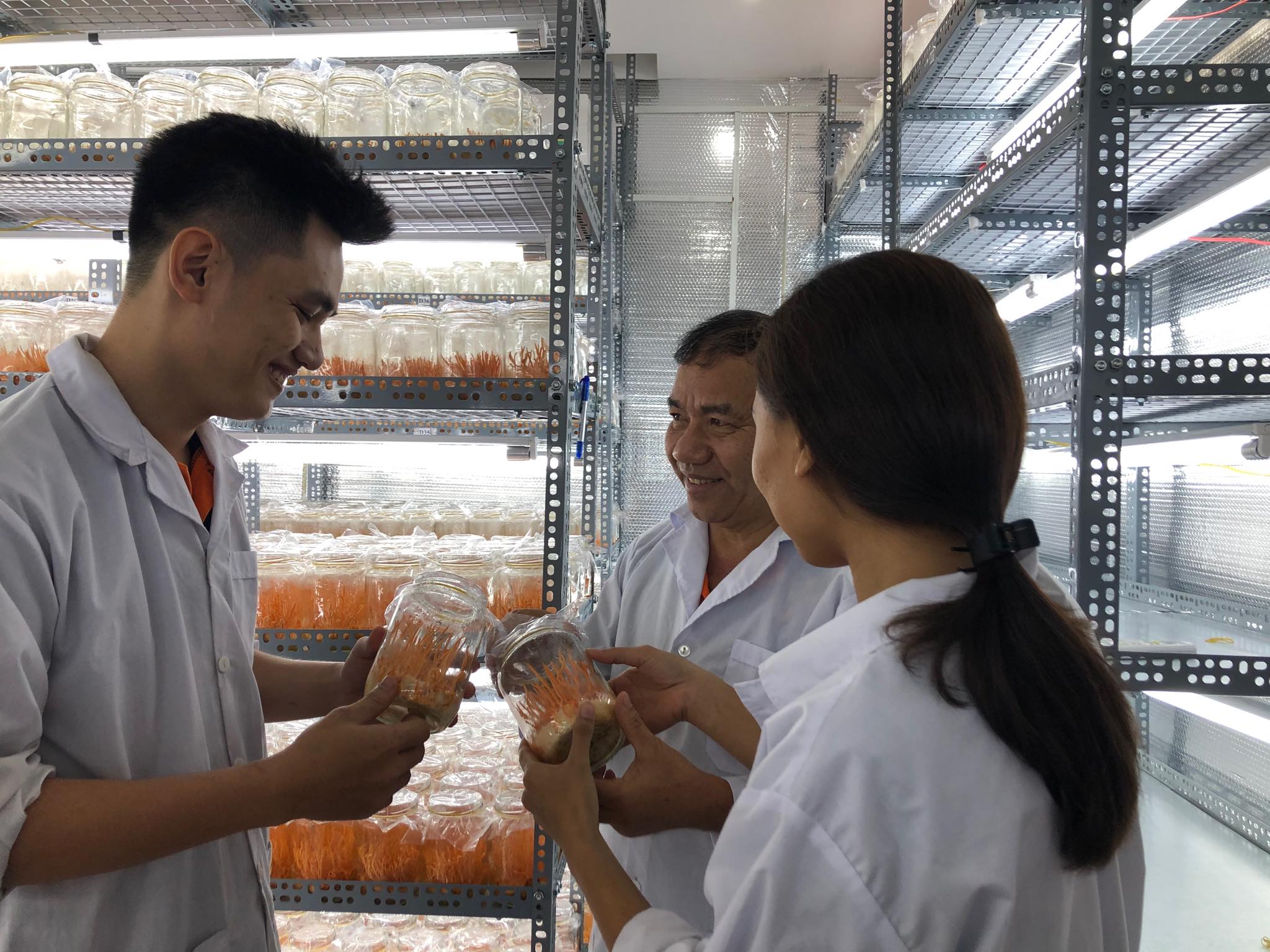 Đông trùng hạ thảo - giải pháp tăng cường sinh lực, phòng ngừa dịch bệnh