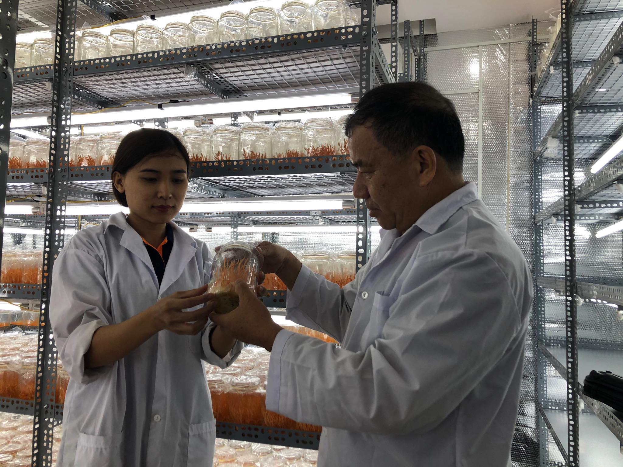 Ông Khương Văn Thuấn luôn tìm hiểu và áp dụng phương pháp kỹ thuật mới trong việc nuôi cấy Đông trùng hạ thảo