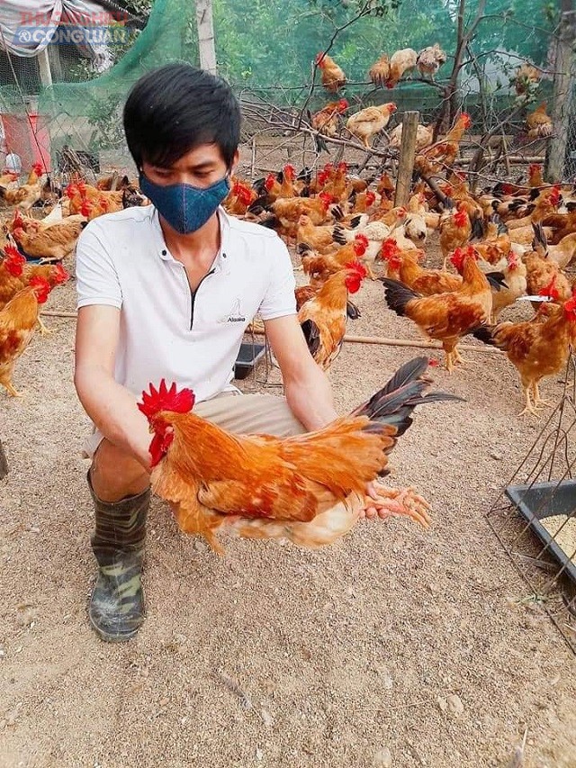 Tỉnh Ninh Bình đã chủ động phổ biến các biện pháp phòng, chống bệnh cúm gia cầm đến với các hộ chăn nuôi.