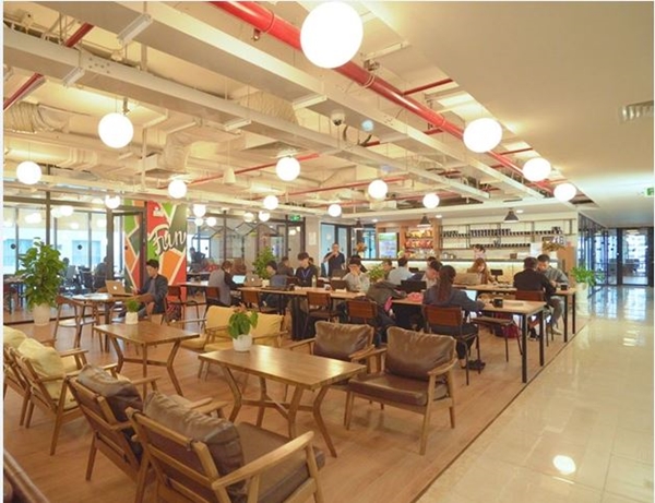 TNL Holdings Việt Nam – Dịch vụ vàng cho vị thế dẫn đầu