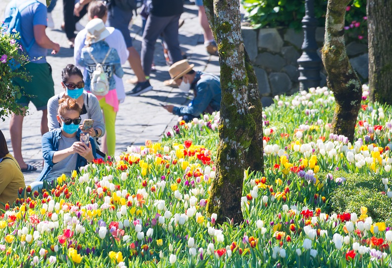 Du khách hào hứng dự lễ hội hoa tulip ở Bà Nà
