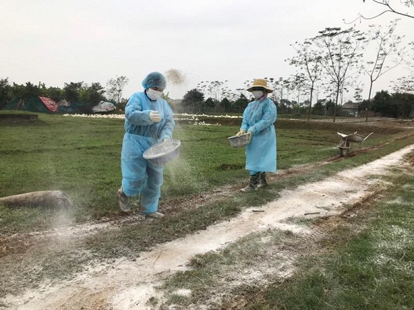 Cả nước xuất hiện 34 ổ dịch gia cầm