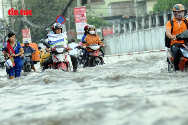TP Hồ Chí Minh đang phải chịu ảnh hưởng nặng nề của tình trạng nước biển dâng (Ảnh: Mạnh Linh/Báo Tin tức)