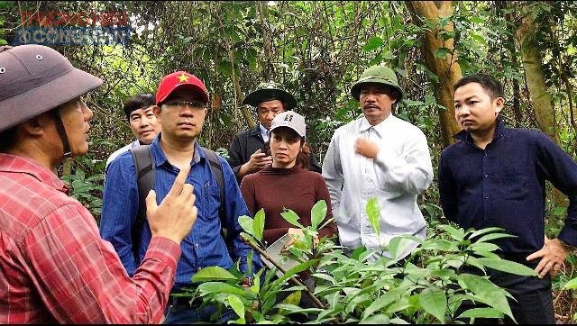 Đoàn công tác tiến hành khảo sát khu vực Vườn quốc gia để chuẩn bị triển khai dự án “Bảo tồn Sâm Bố Chính Quảng Bình dưới tán rừng Phong Nha - Kẻ Bàng”