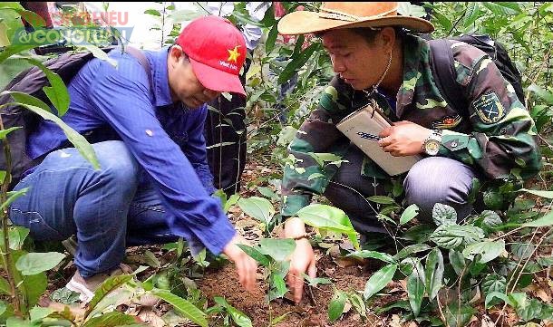 Với đặc điểm về địa hình, khí hậu, đất đai, thủy văn thuận lợi đã hình thành hệ thực vật phong phú, đa dạng và độc đáo là điều kiện tự nhiên sinh thái rất phù hợp để trồng và bảo tồn giống Sâm Bố Chính quý, tạo nên lợi ích kép.