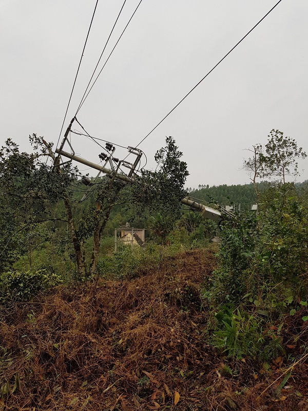 Trận mưa đá đã gây thiệt hại đến tài sản ngành Điện trện địa bàn Yên Bái