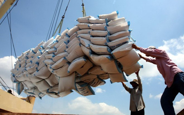 Tiềm năng xuất khẩu gạo sang thị trường Senegal