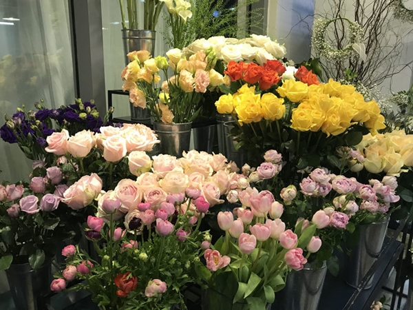 Cận ngày 8/3, giá hoa giảm mạnh